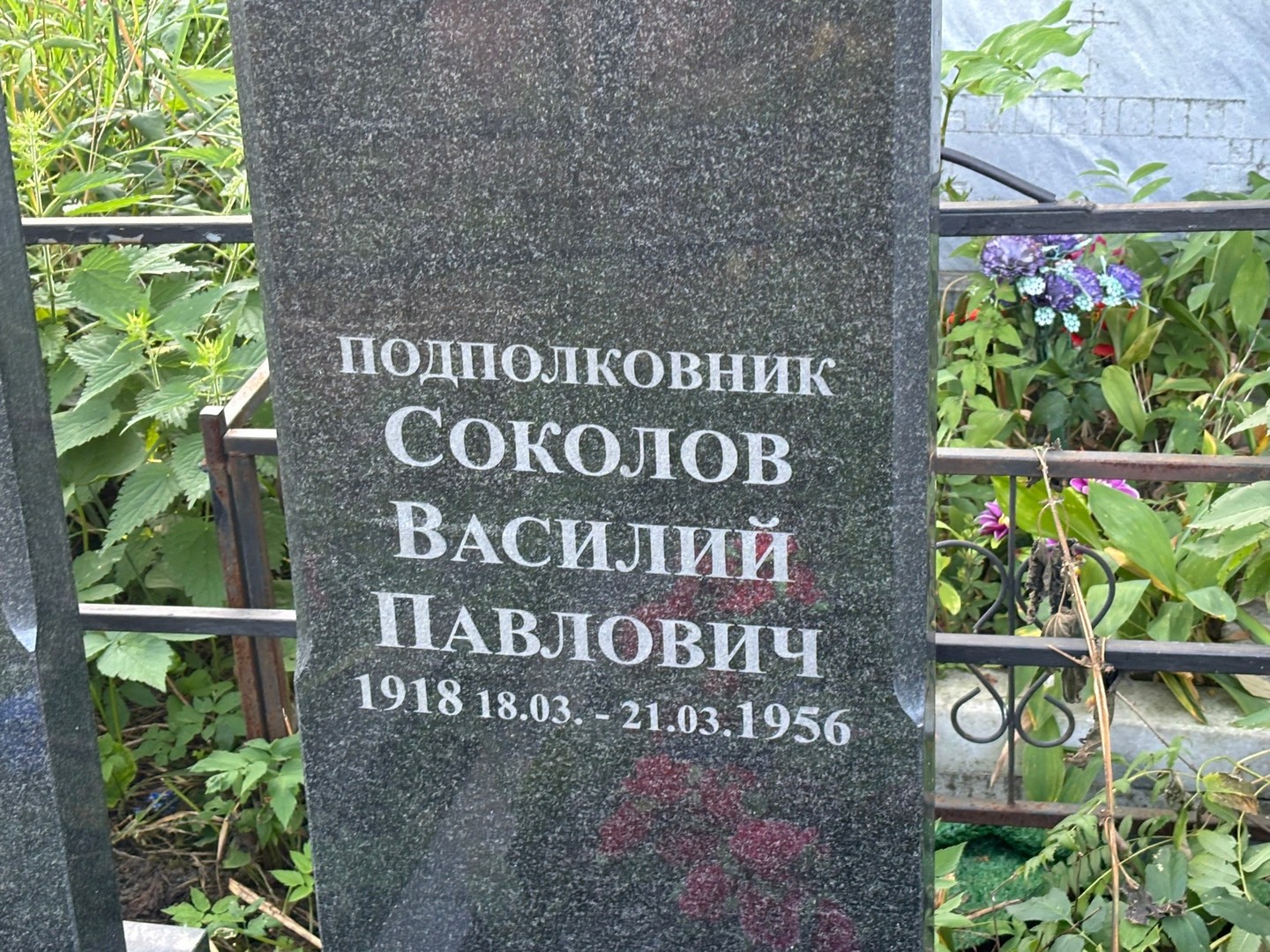 Соколов