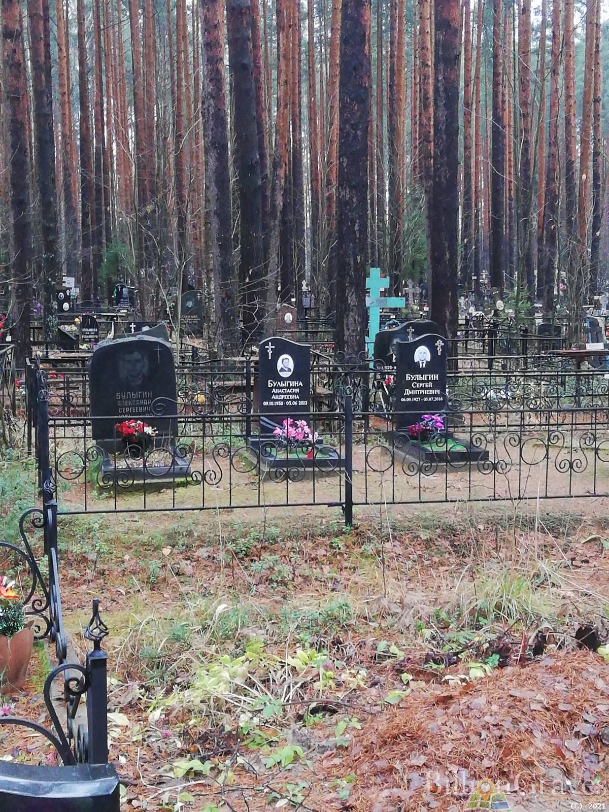 Булыгина Анастасия Андреевна