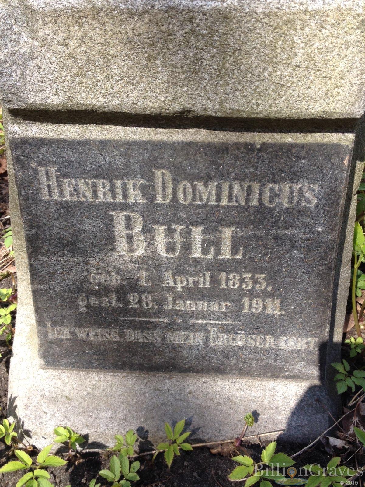 Bull Heinrich Dominicus