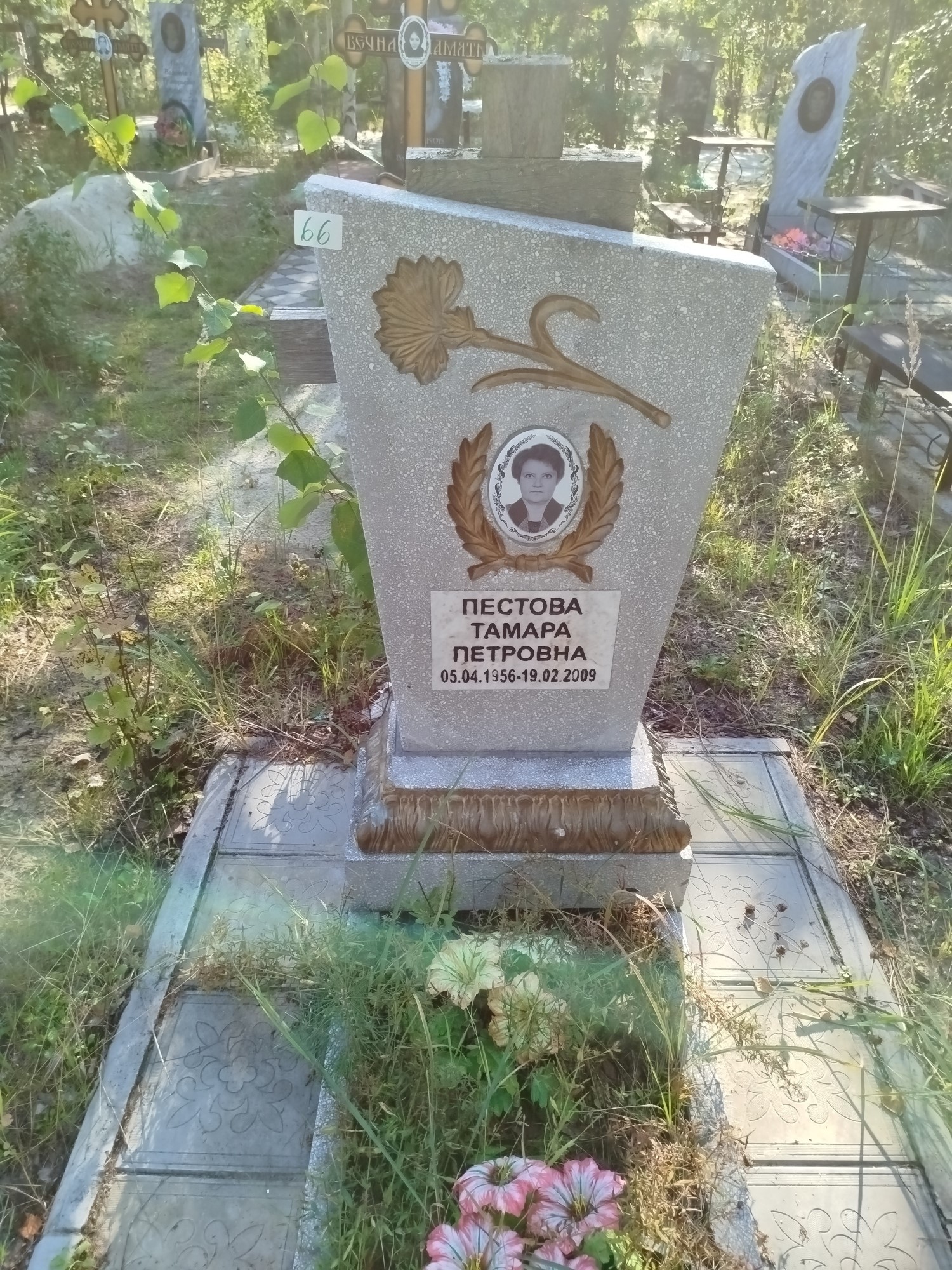 Пестова Тамара Петровна