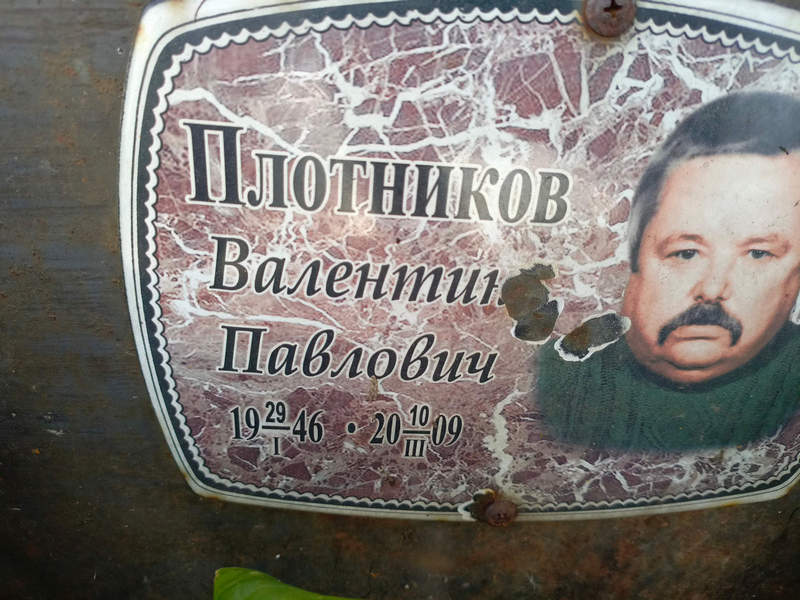 Плотников