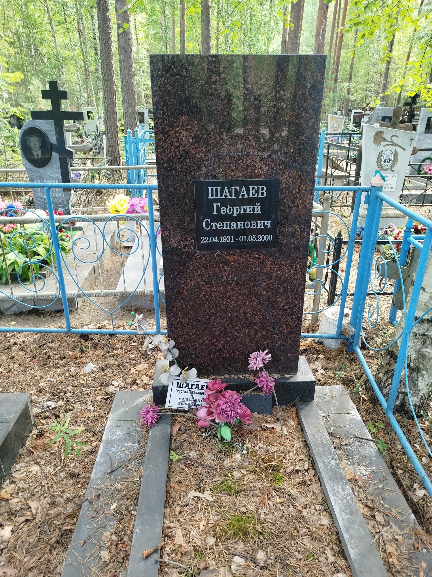 Шагаев Георгий Степанович