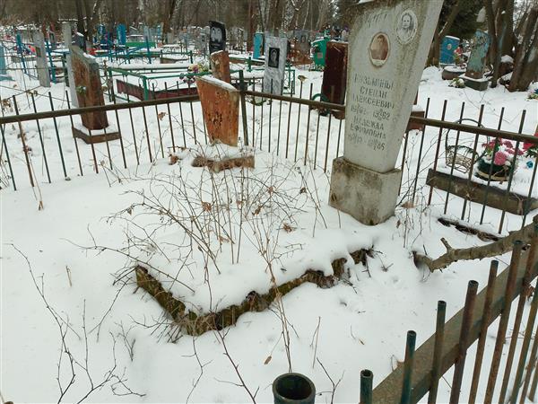 Кузьмин Степан Алексеевич