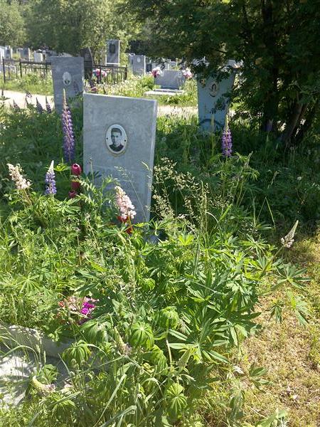 Троцкий Николай Куприянович
