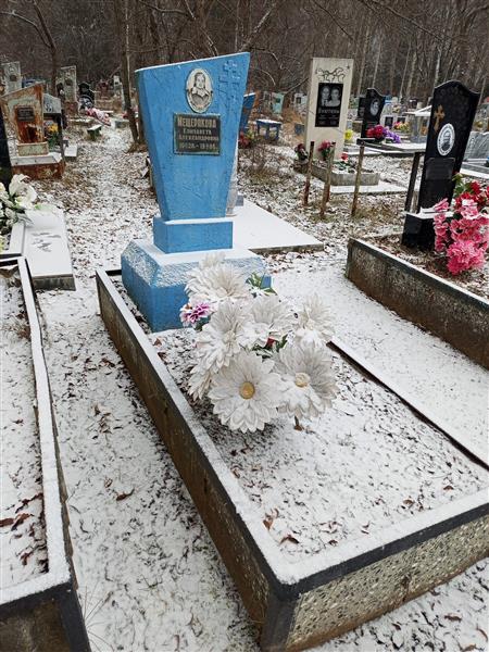 Мещерякова Елизавета Александровна