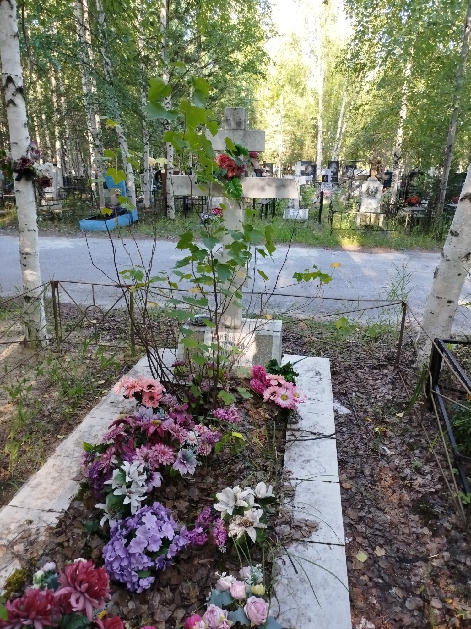 Шибанова Анастасия Степановна