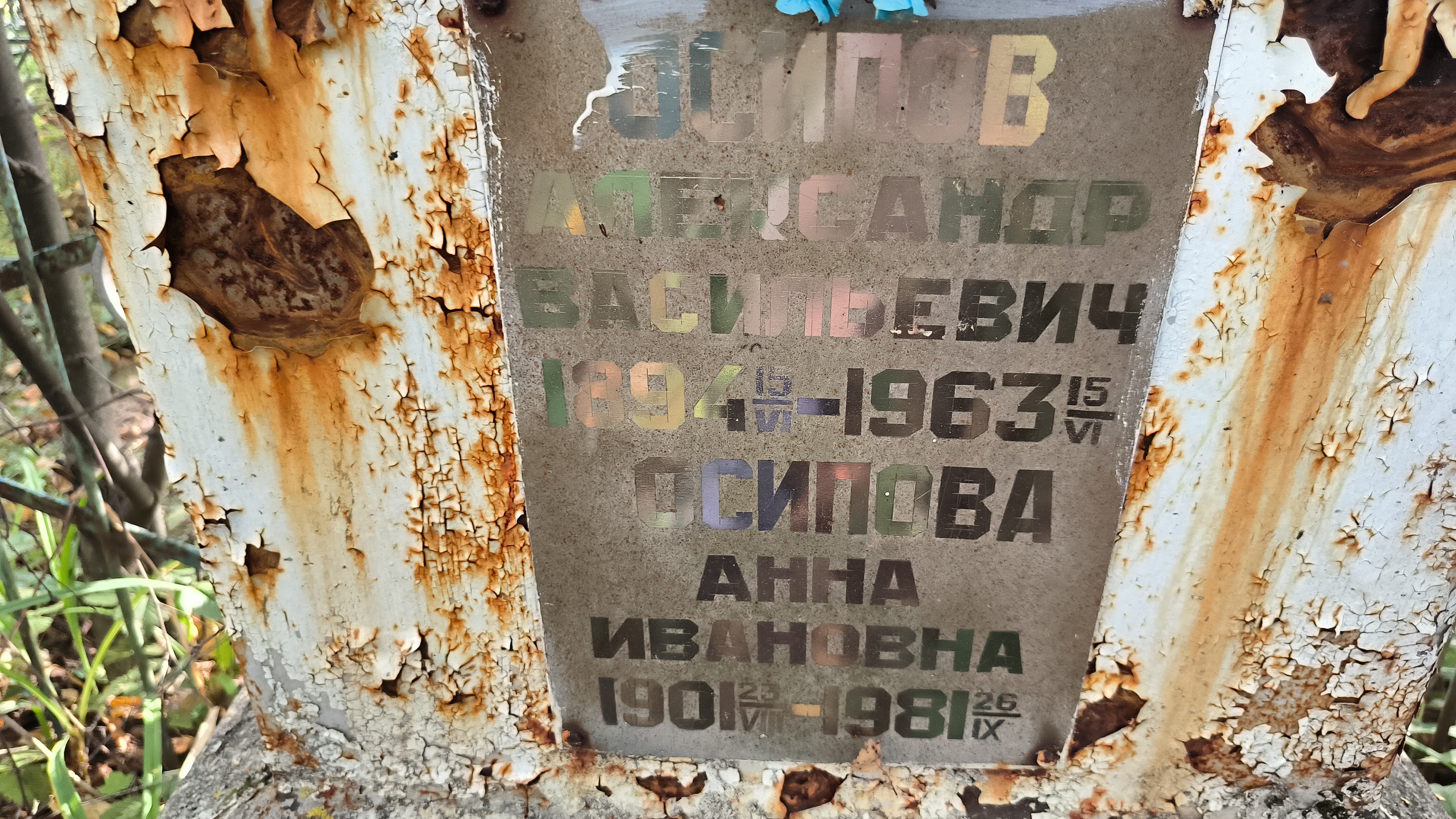 Осипова Анна Ивановна