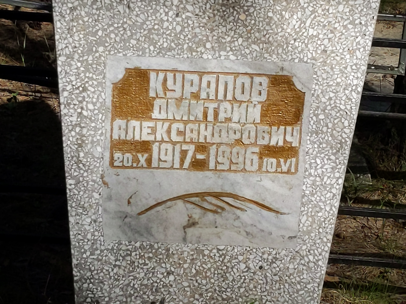 Курапов Дмитрий Александрович