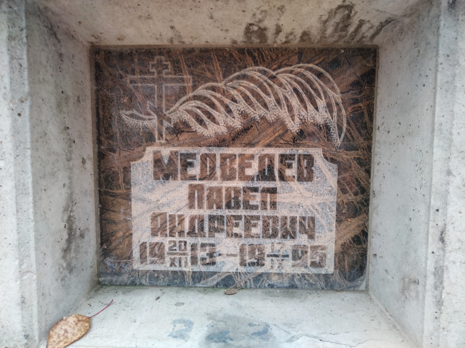 Медведев Павел Андреевич