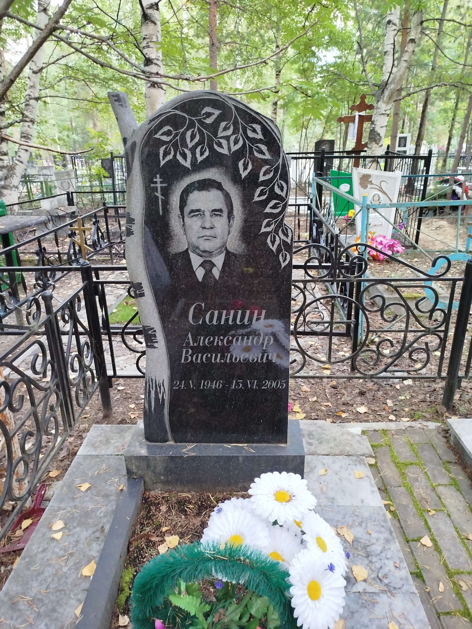 Санин Александр Васильевич