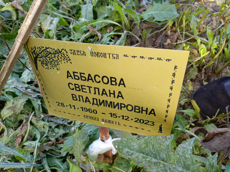 Аббасова