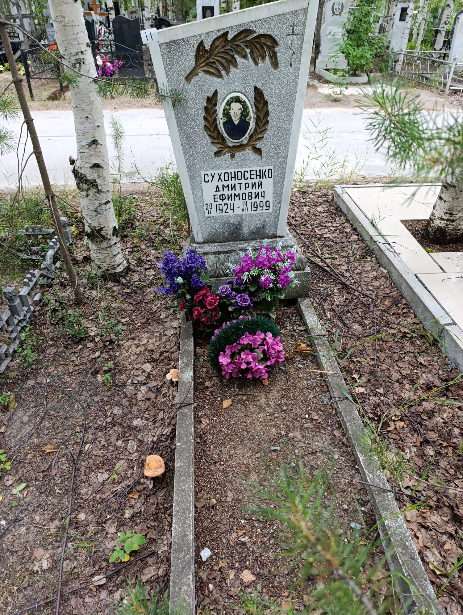 Сухоносенко Дмитрий Ефимович