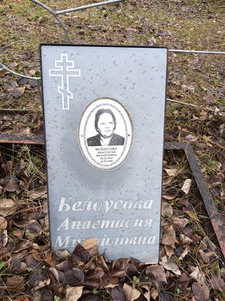 Белоусова Анастасия Михайловна