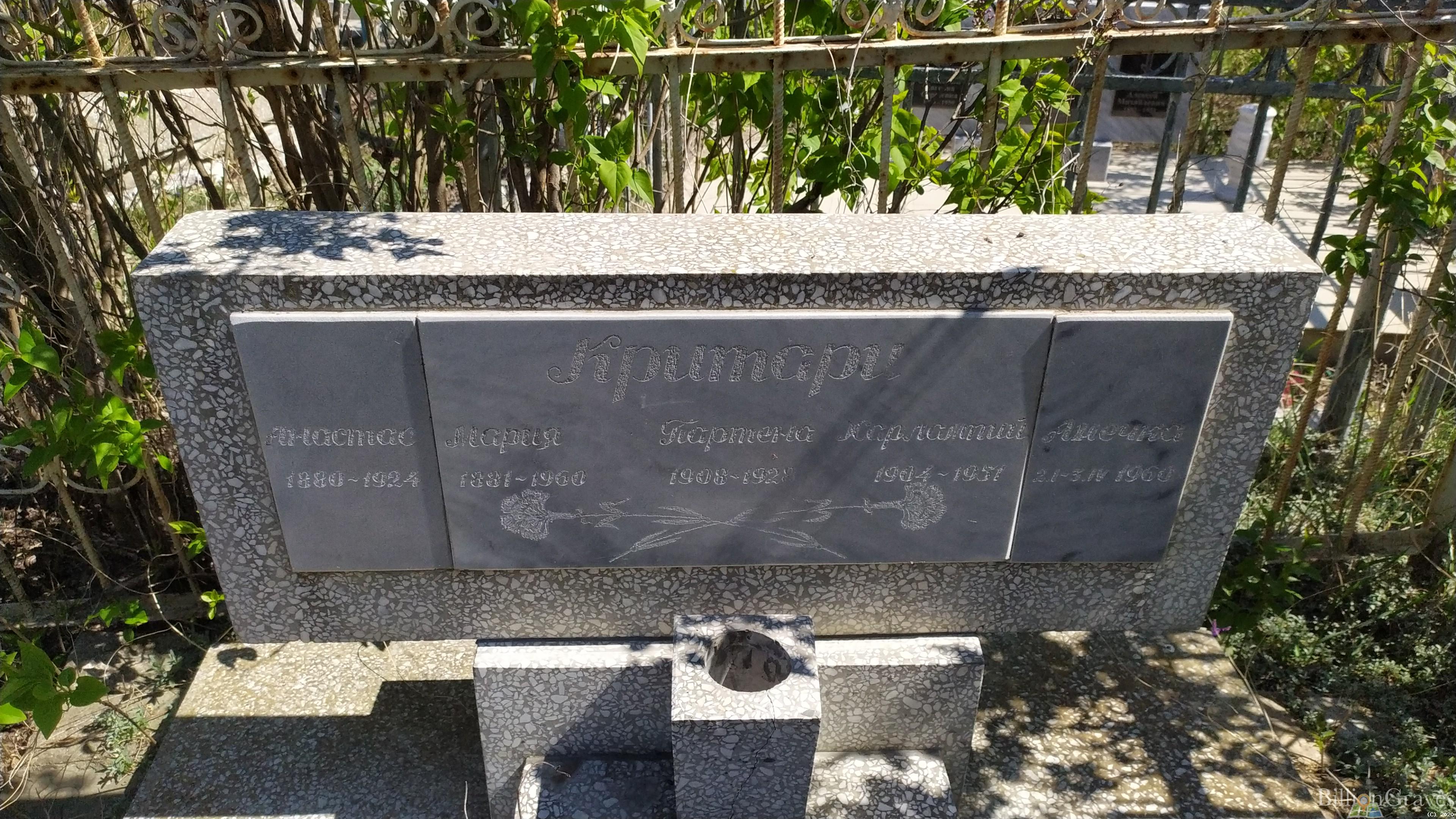 Критари Анна