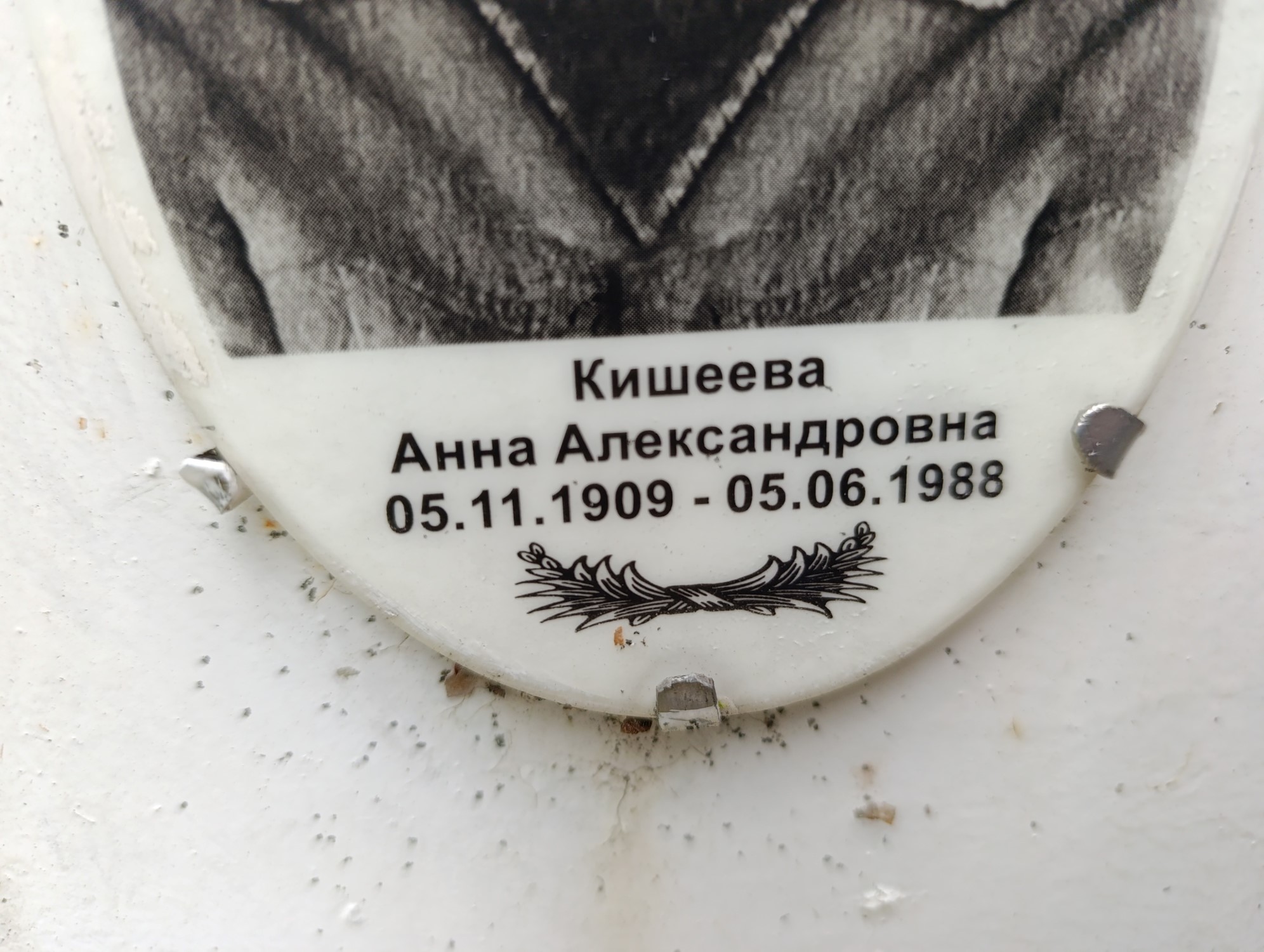 Кишеева Анна Александровна