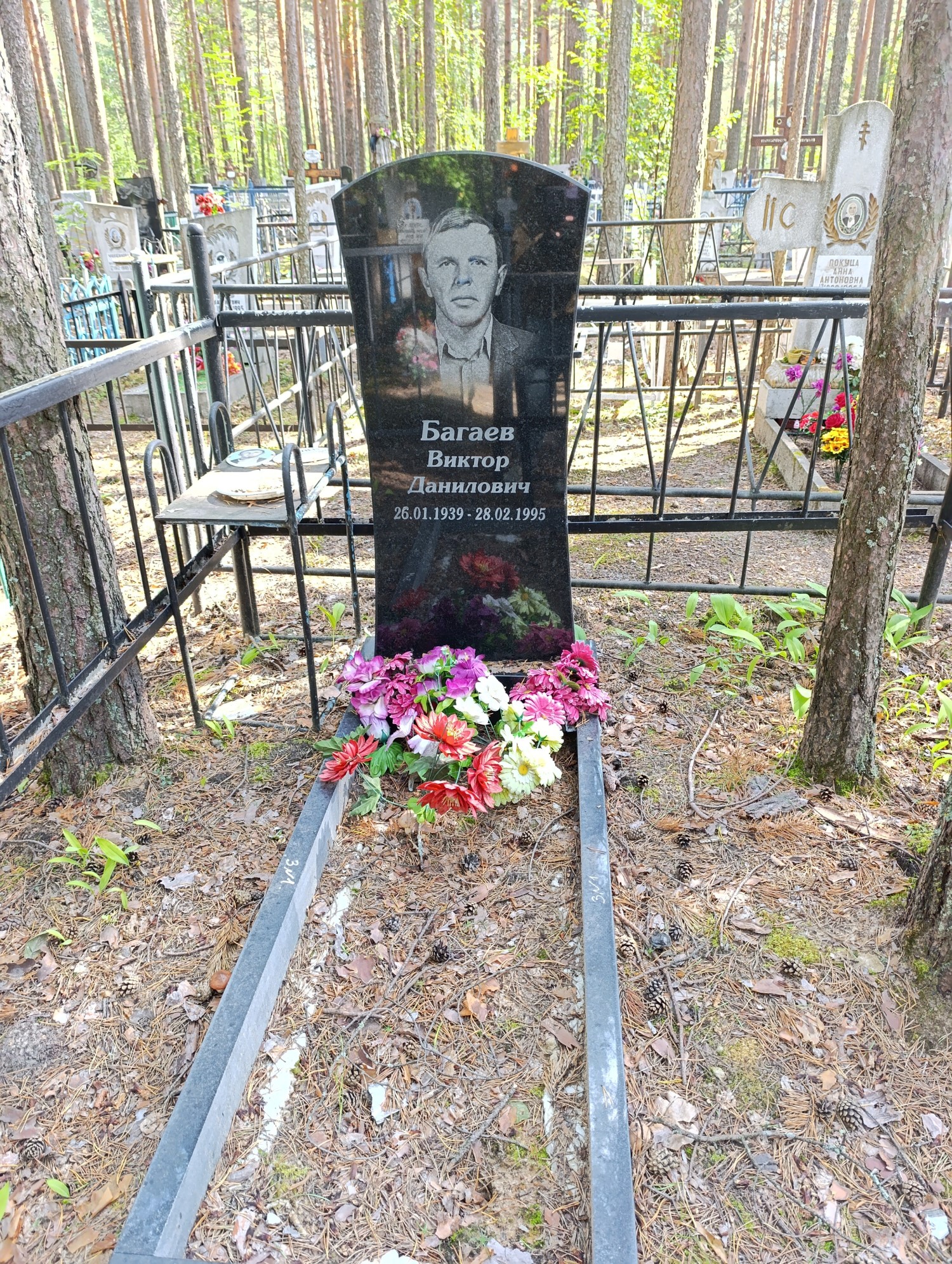 Багаев Виктор Данилович