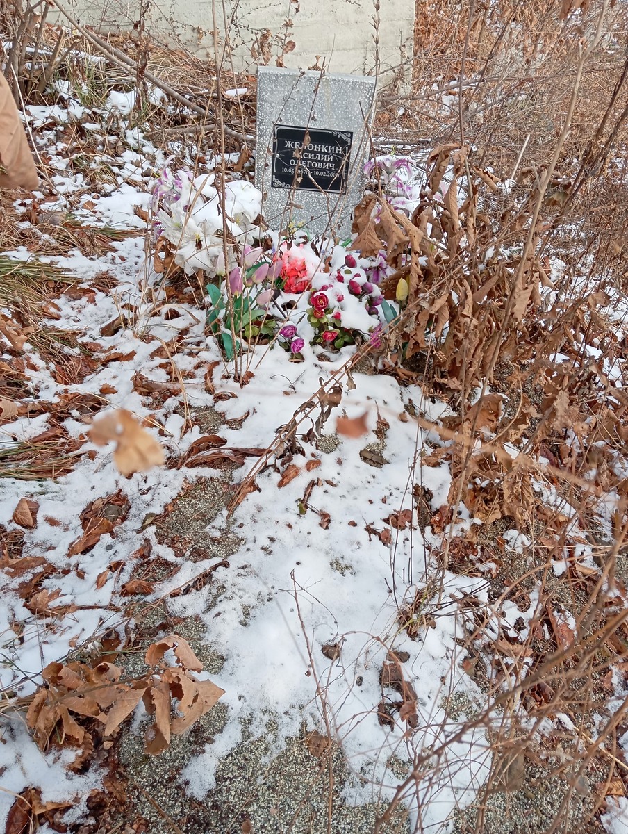 Желонкин Василий Олегович