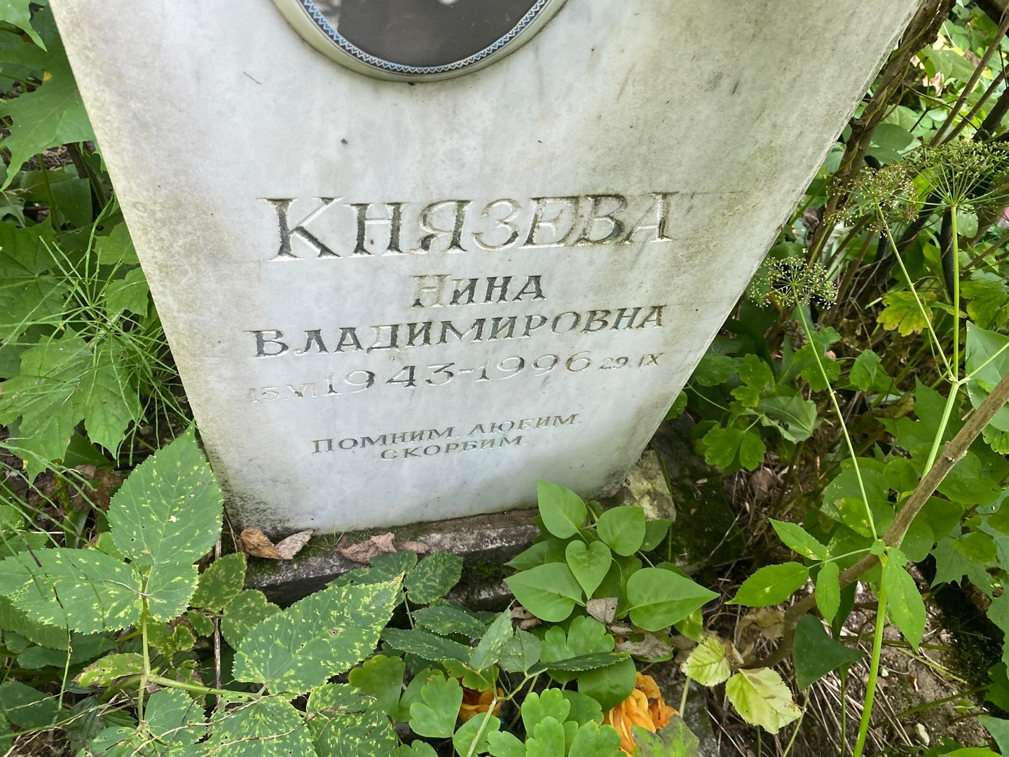 Князева