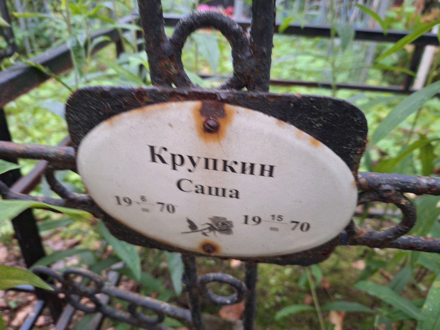 Крупкин Крупкин