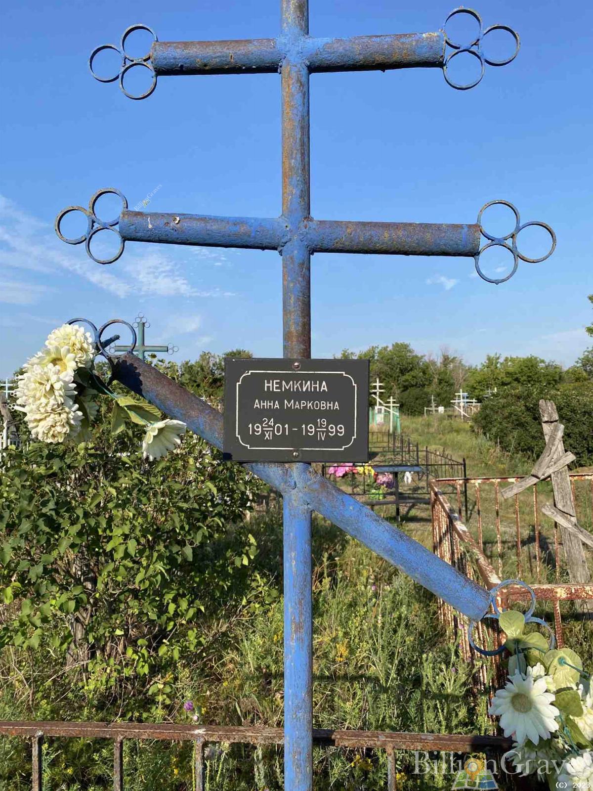 Немкина Анна Марковна