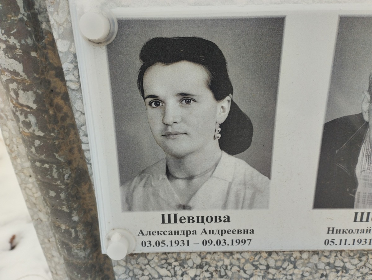 Шевцова Александра Андреевна