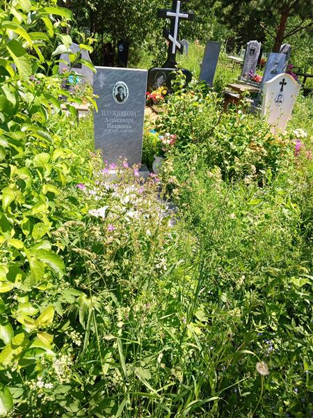 Плужникова Александра Ивановна