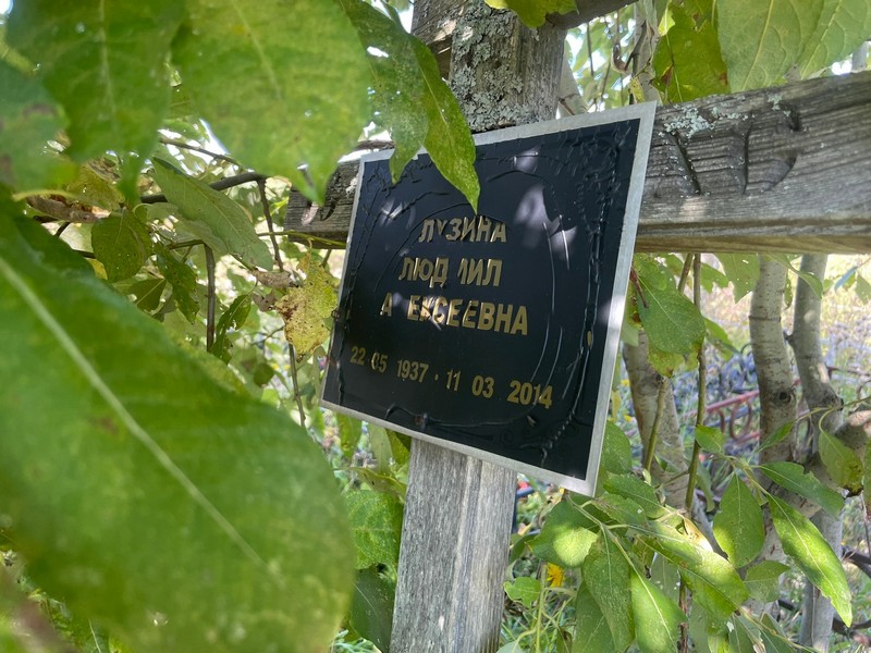 Лузина