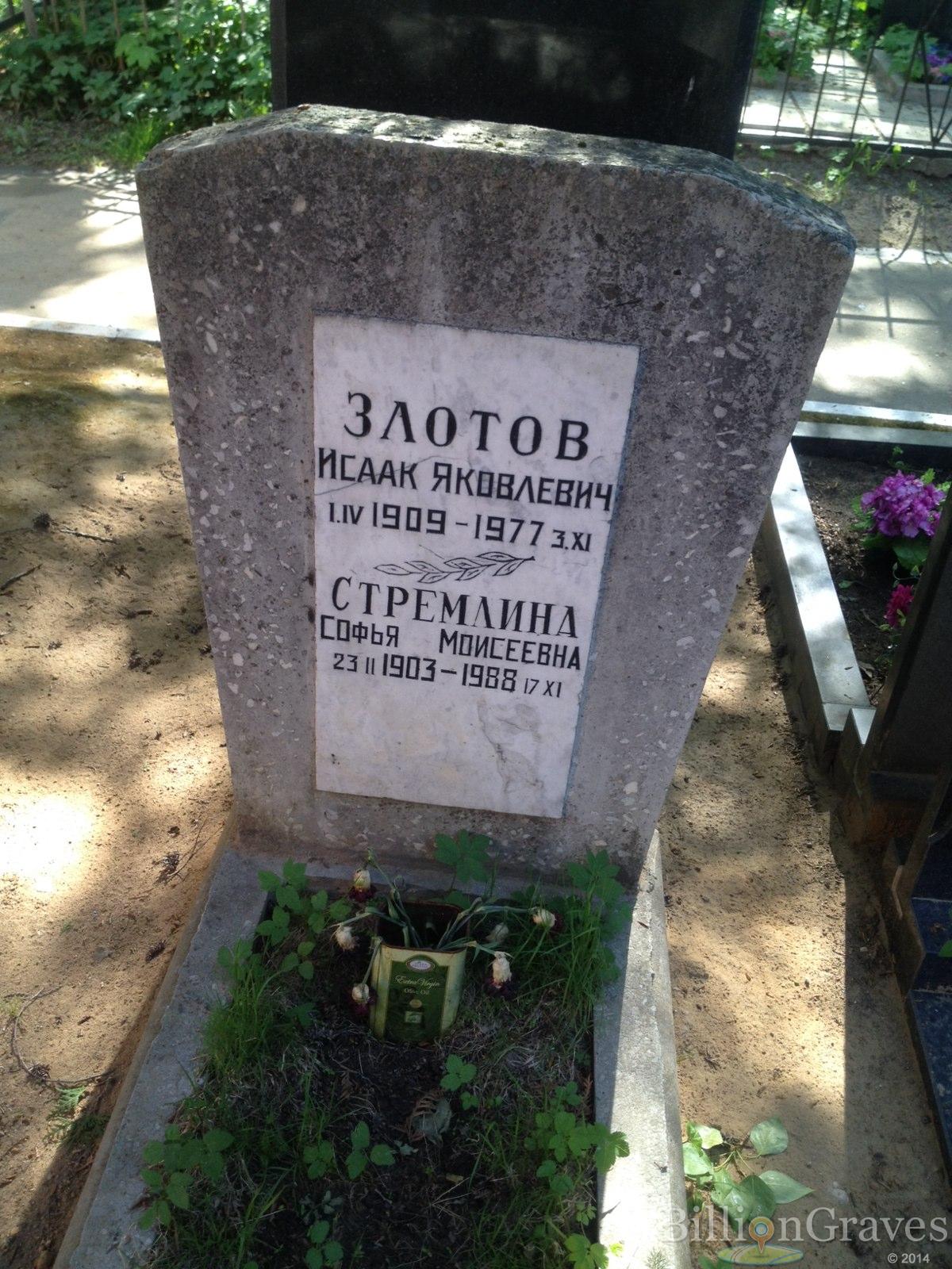 Стремлина Софья Моисеевна