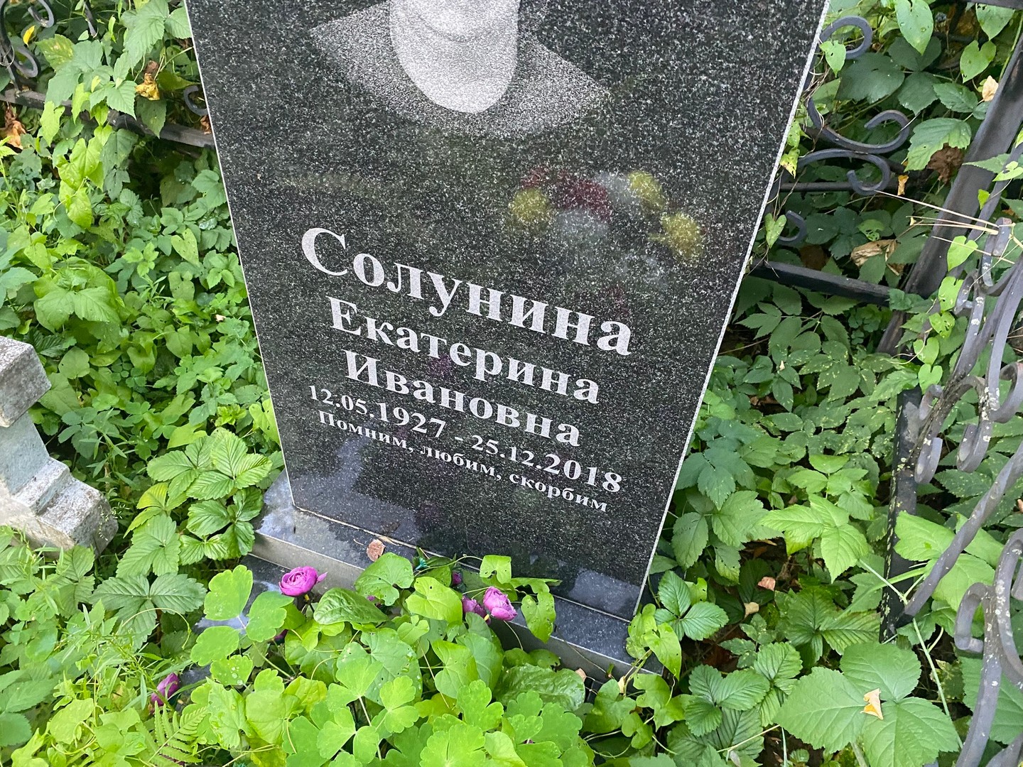 Солунина