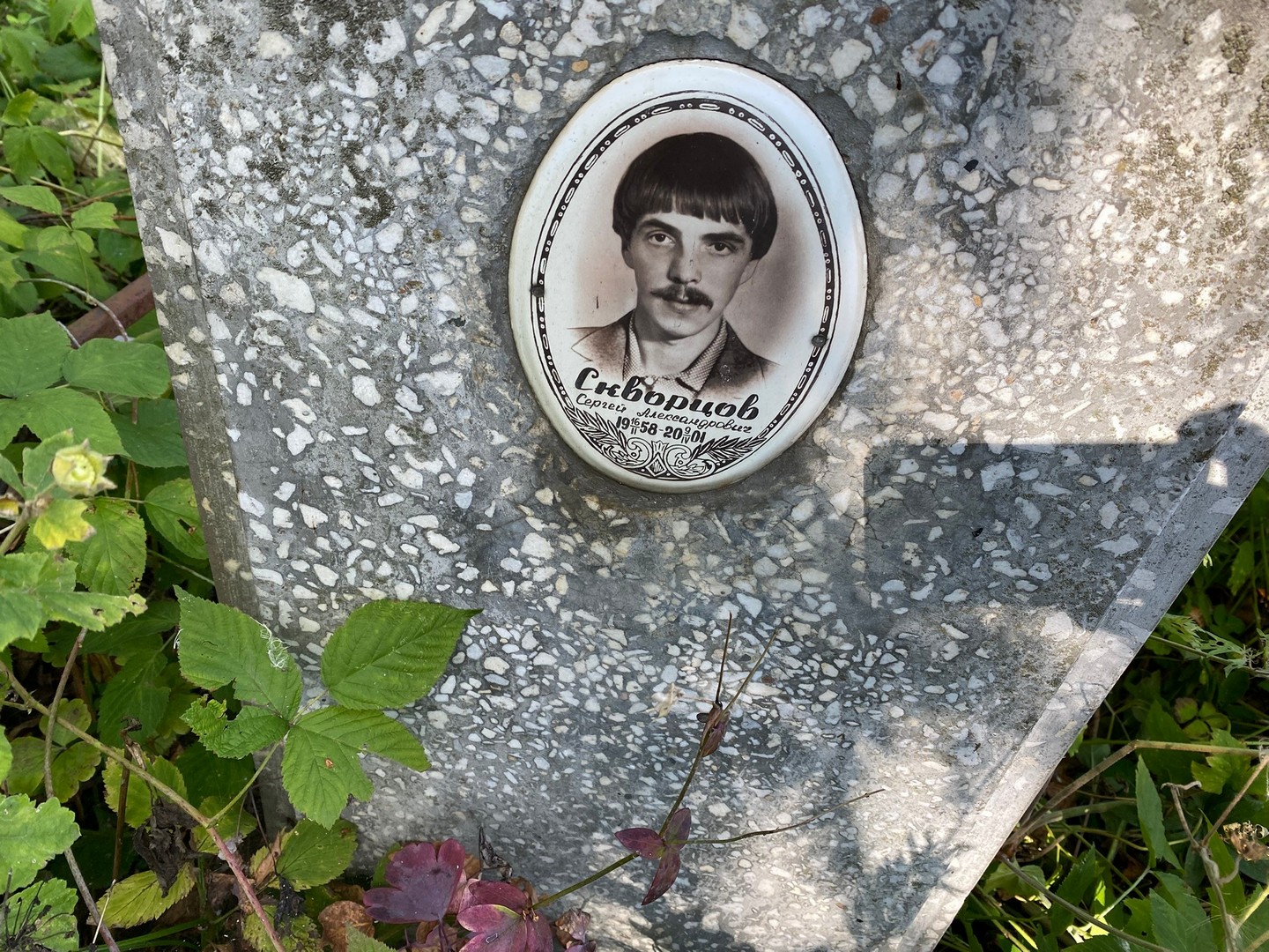 Скворцов