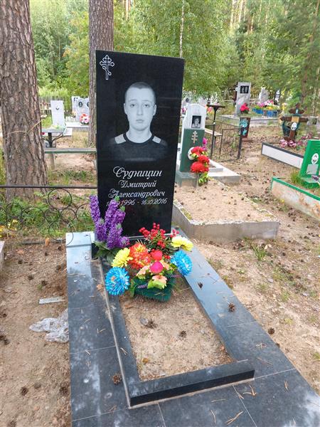 Судницин Дмитрий Александрович