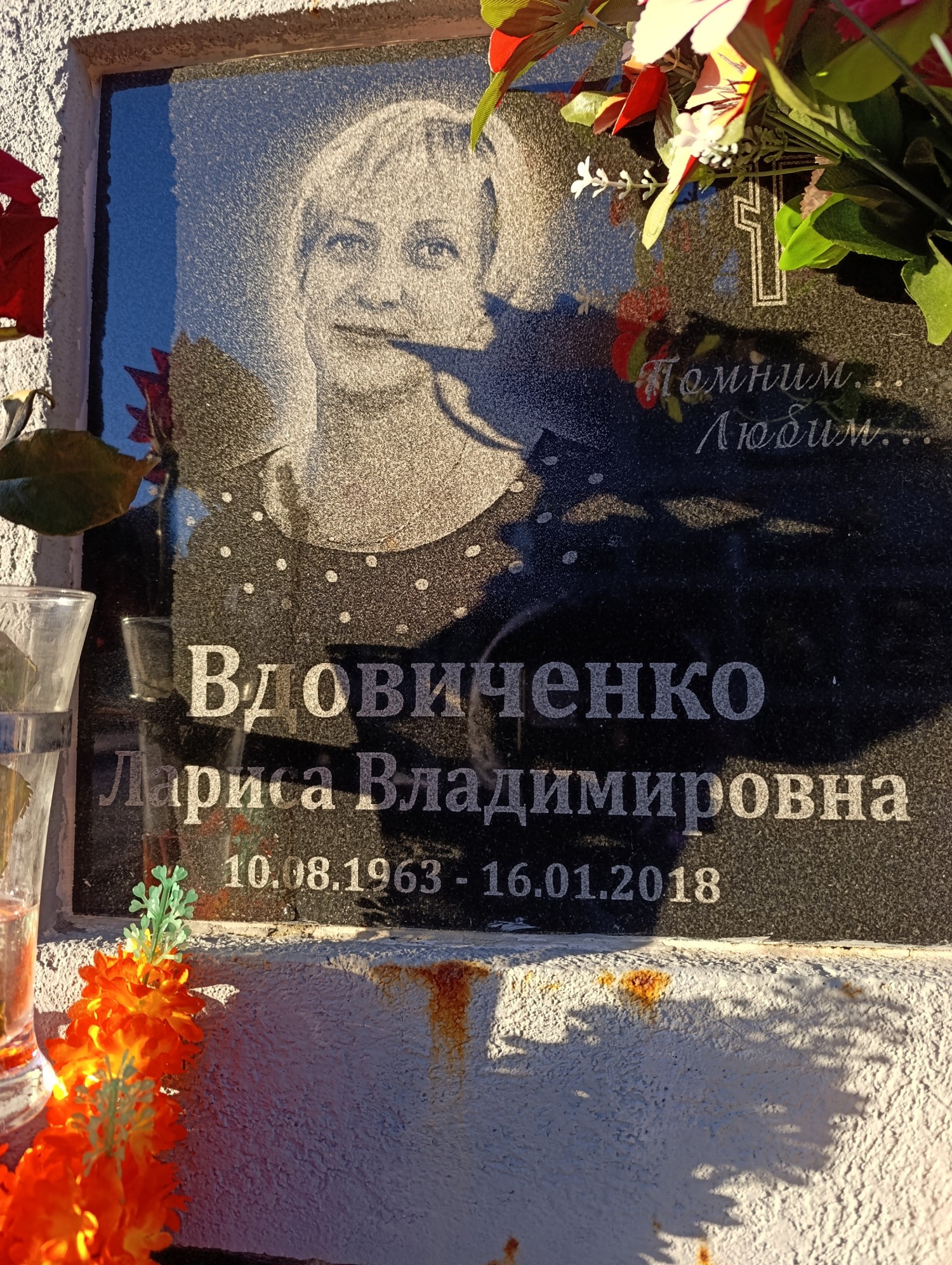 Вдовиченко Лариса Владимировна