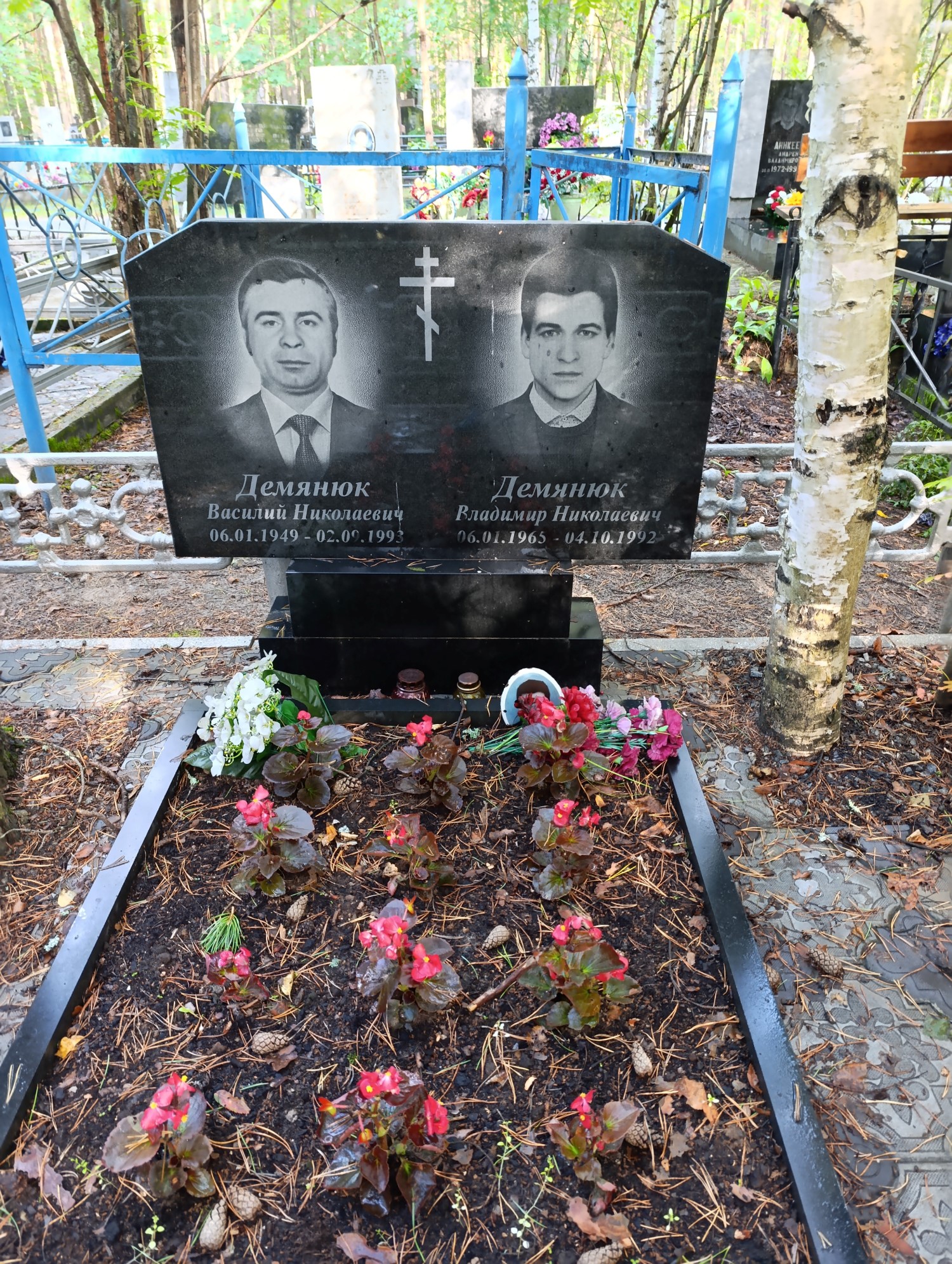 Демянюк Владимир Николаевич