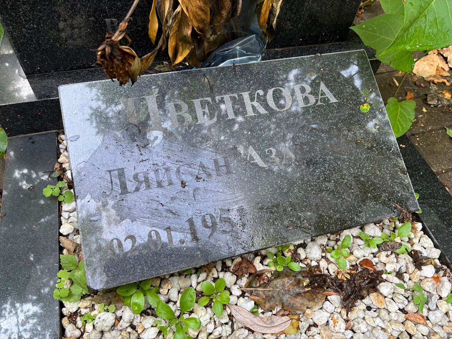 Ляйсан Цветкова Азатовна