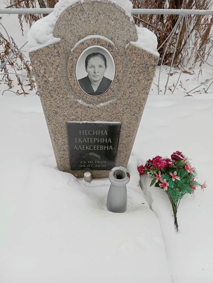 Несина Екатерина Алексеевна