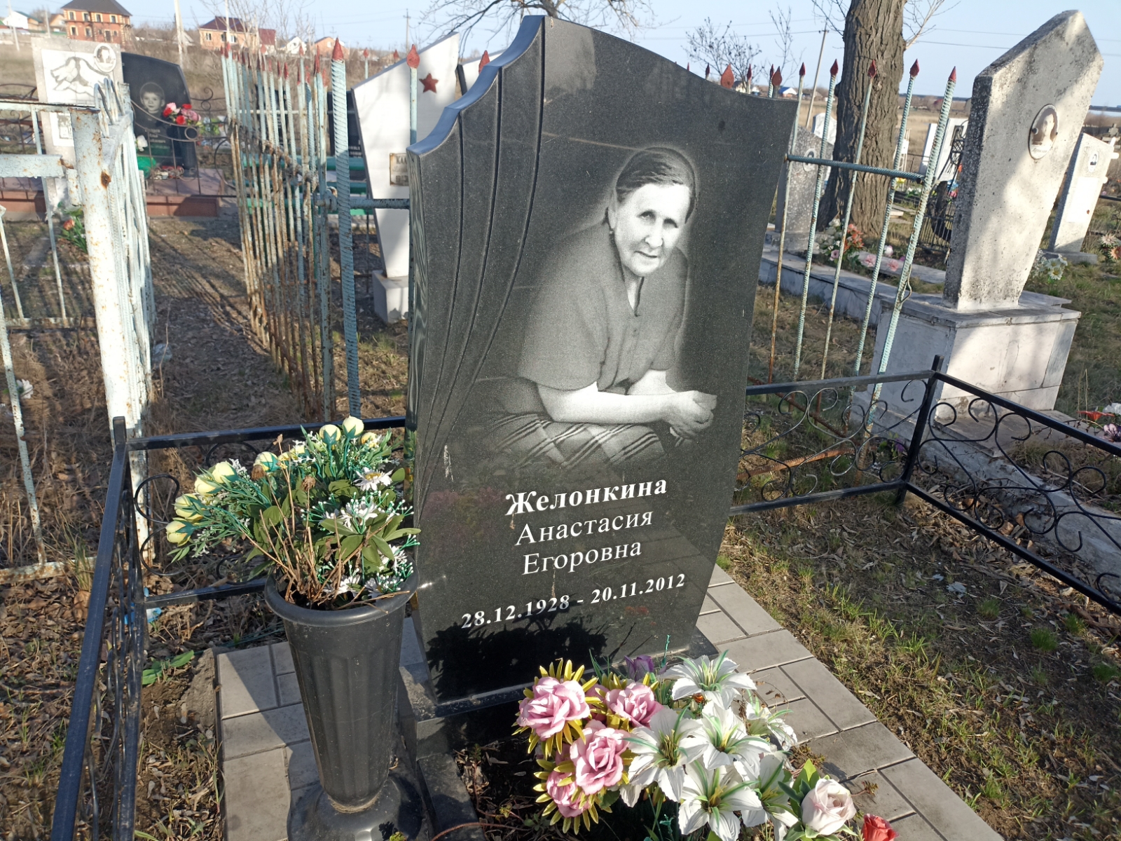 Желонкина Анастасия Егоровна