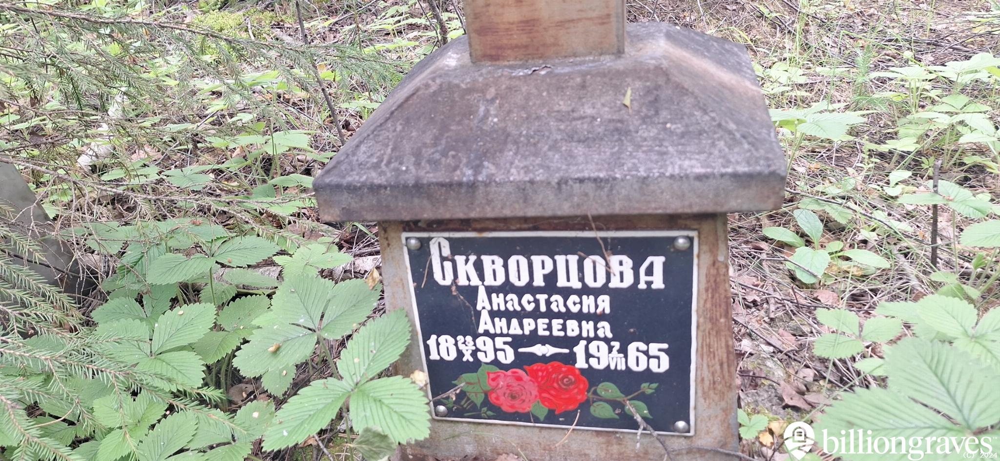 Скворцова Анастасия Андреевна