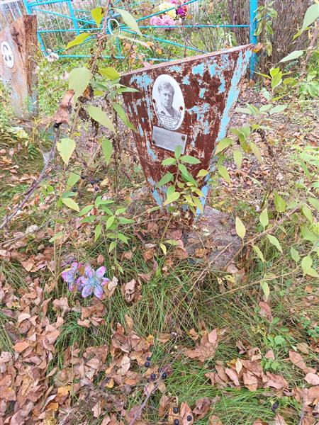 Соколов Николай Петрович
