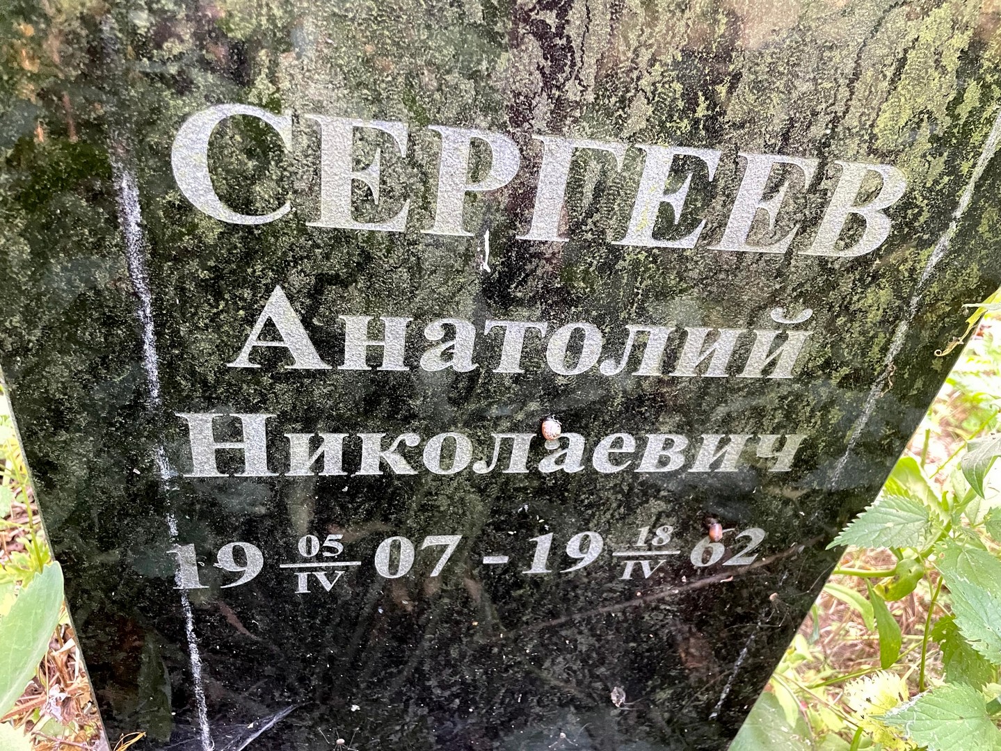Сергеев