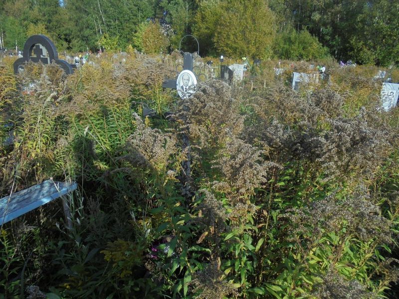 Чернядьев Сергей Иванович