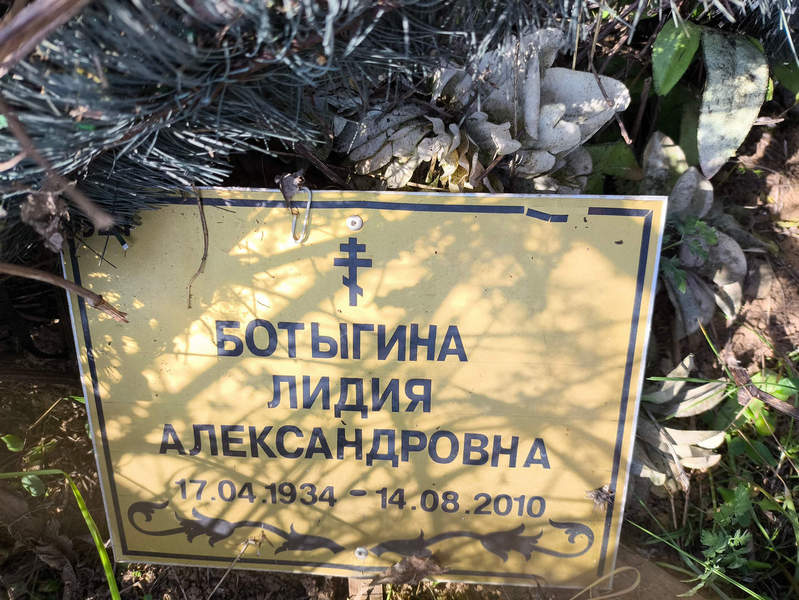 Ботыгина