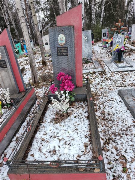 Трегубенков Владимир Викторович
