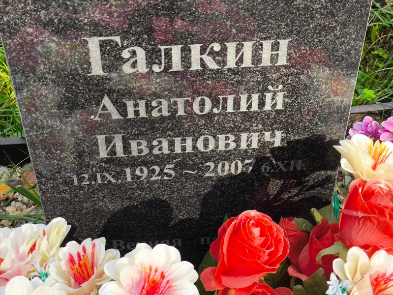 Галкин
