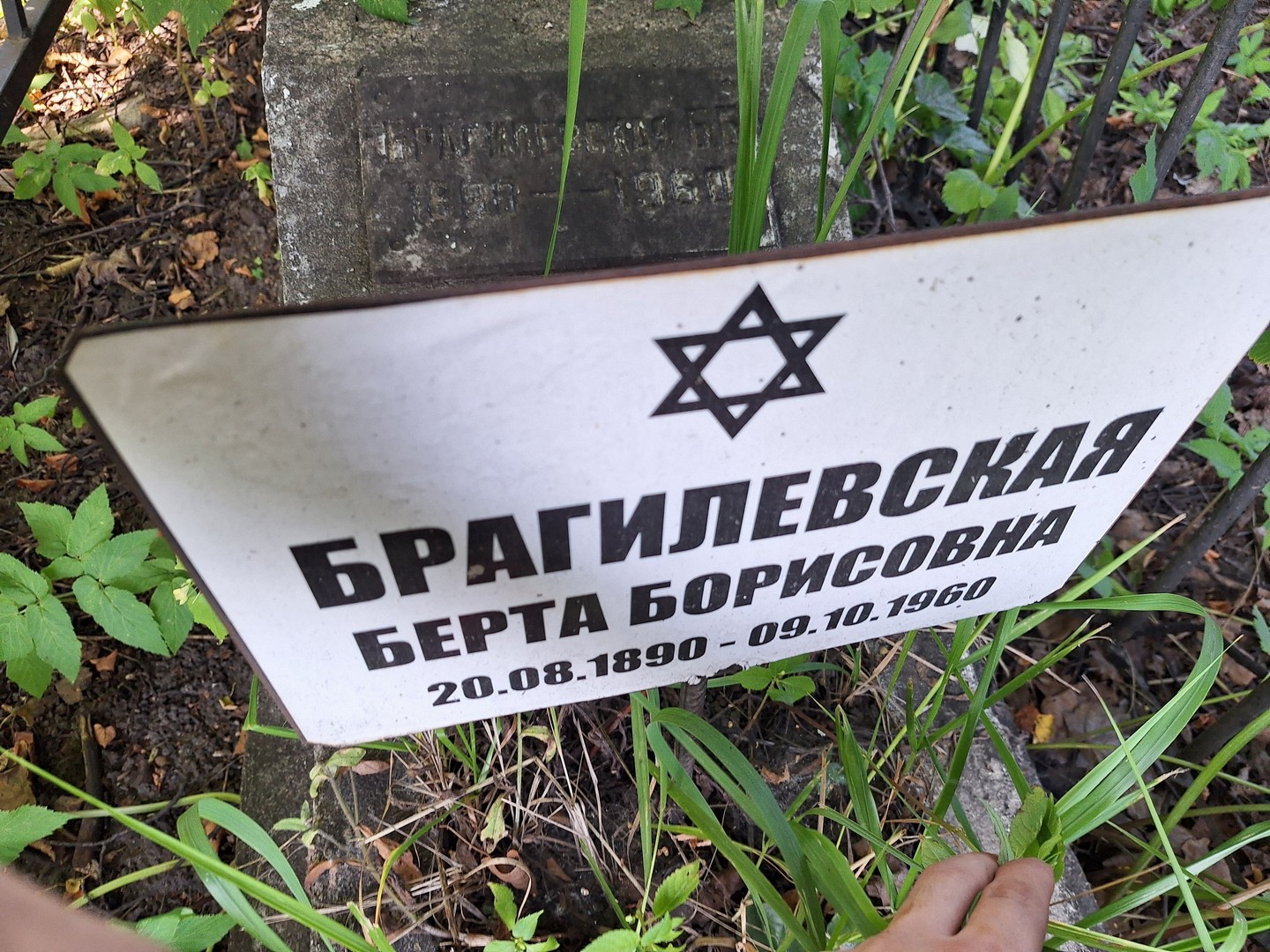 Берта Брагилевская Борисовна