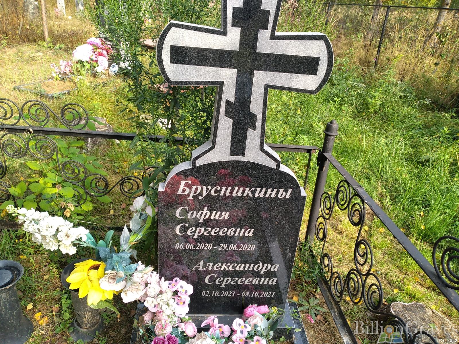 Брусникина Александра Сергеевна