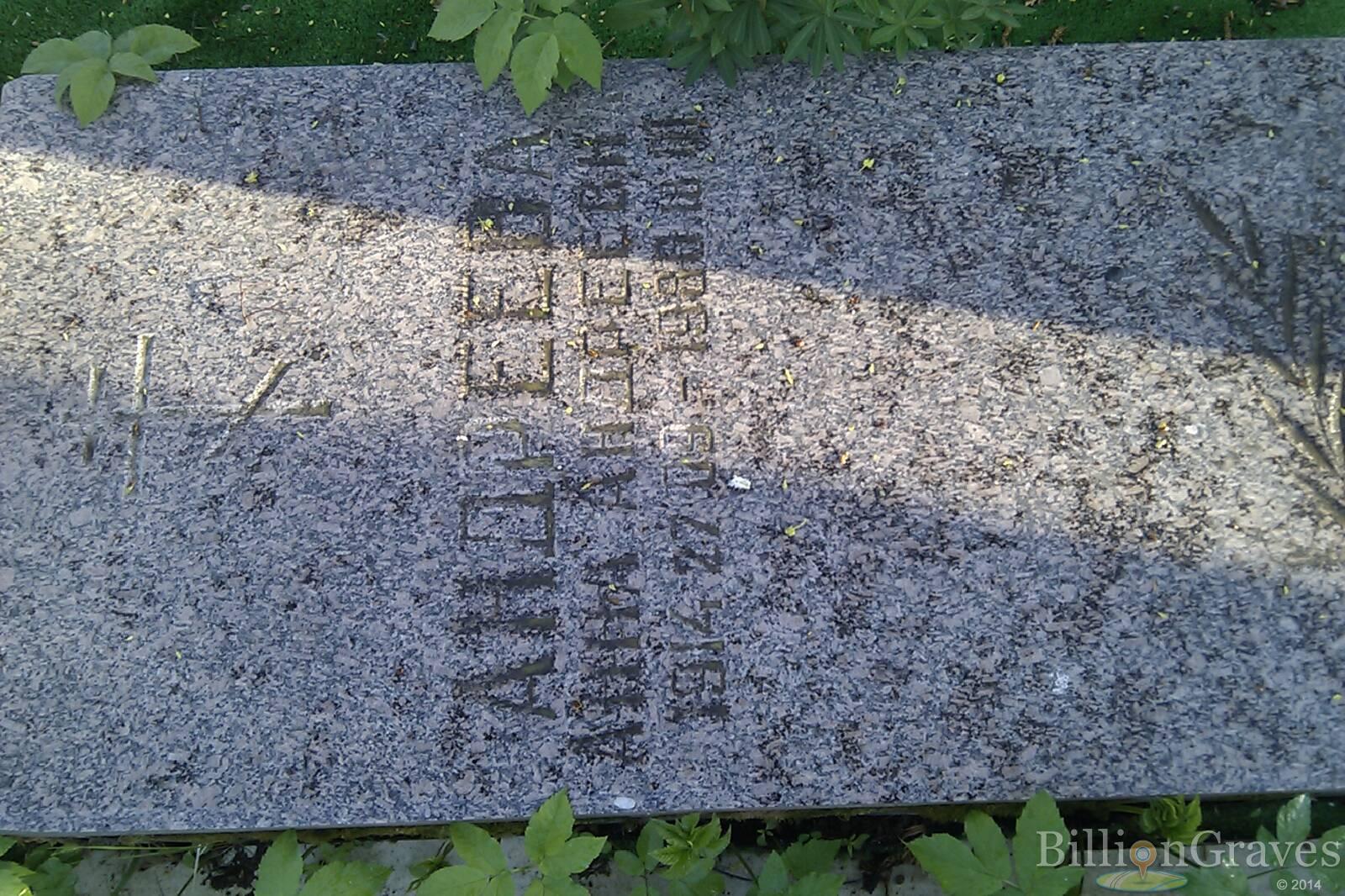 Андреева Анна Андреевна