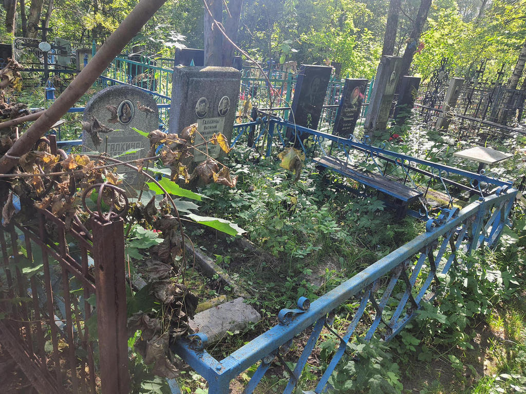 Галкина Татьяна Николаевна