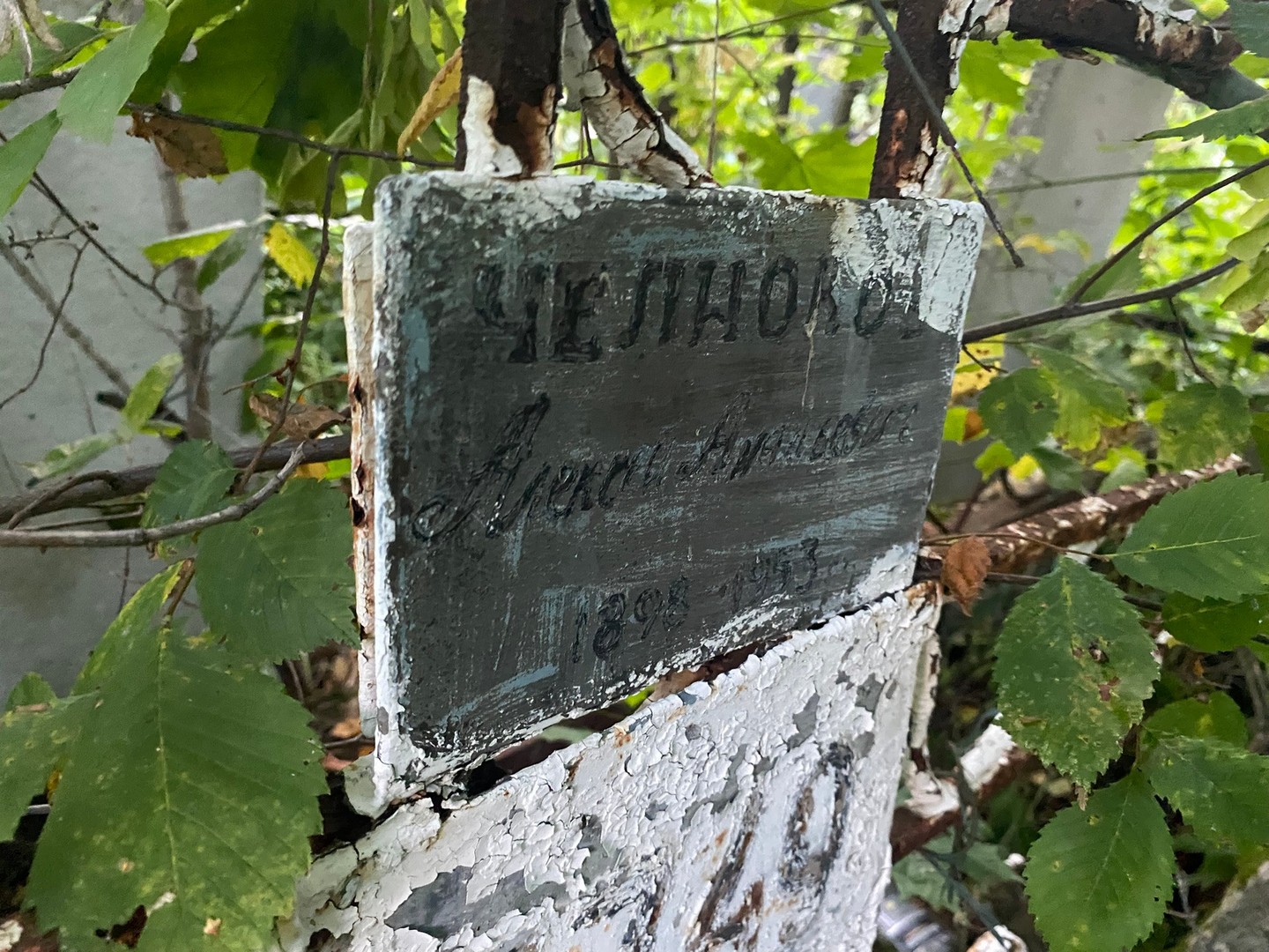 Челноков