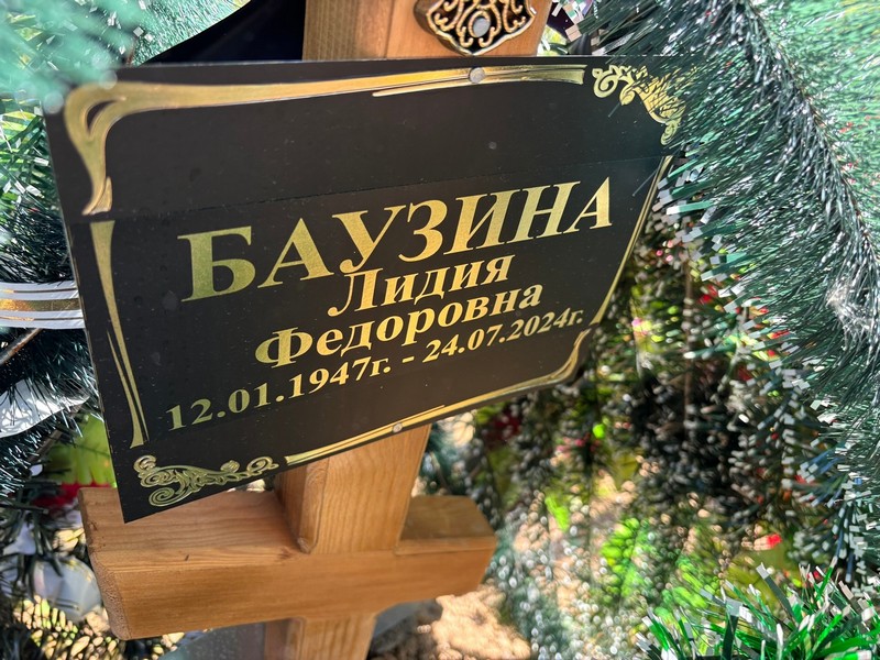 Баузина