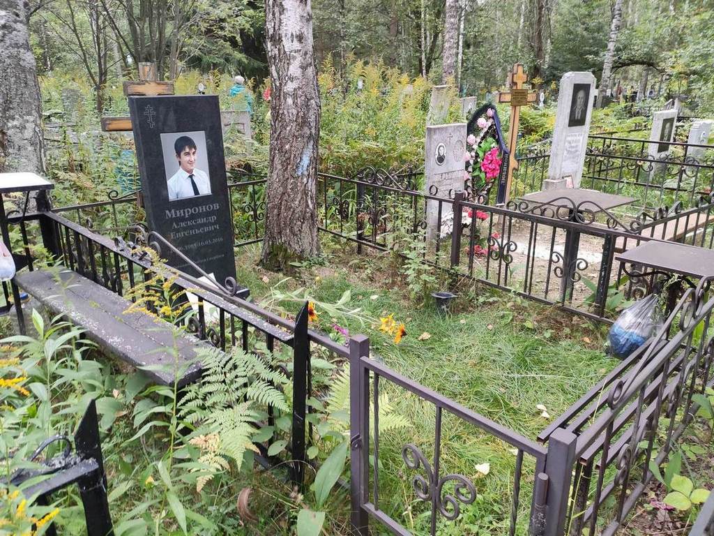 Миронов Александр Евгеньевич